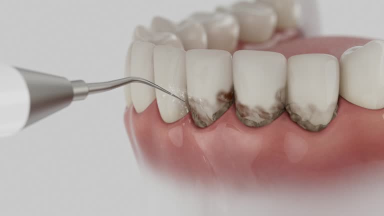Reliable Dental contractor in Citronelle, AL by Dentist Open Now